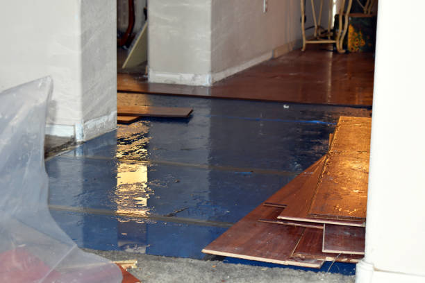 Professional Emergency Water Damage Restoration technician working in Waterloo, IL